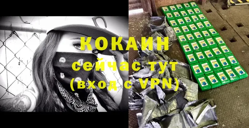 Cocaine FishScale  купить наркоту  Дмитриев 