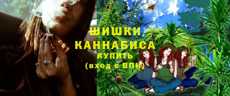 где можно купить   Дмитриев  Канабис Amnesia 